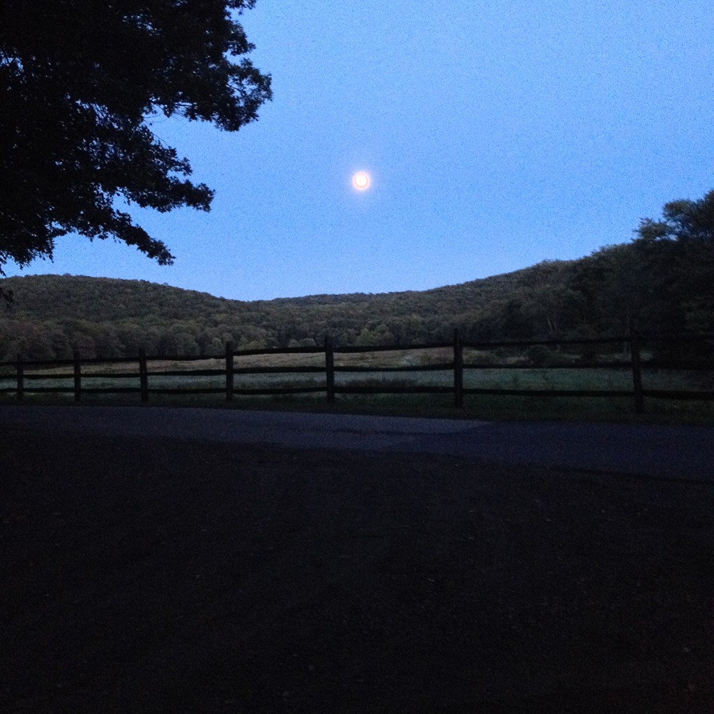 Moon rise over Hudson Farm Westby, Andover, NJ. August 28, 2015.